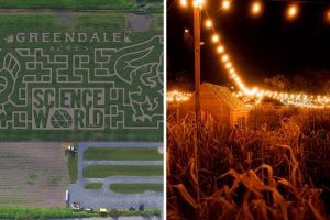 corn mazes vancouver