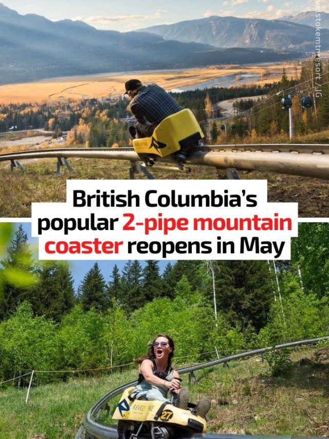 Revelstoke Mountain Coaster 2024