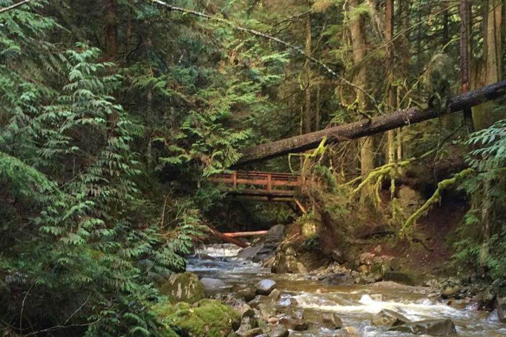 cypress falls vancouver hike