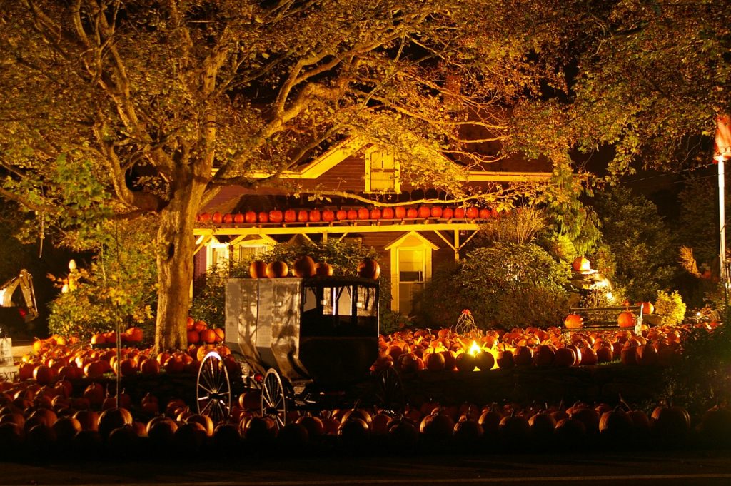 Stanley Park Halloween Ghost Train