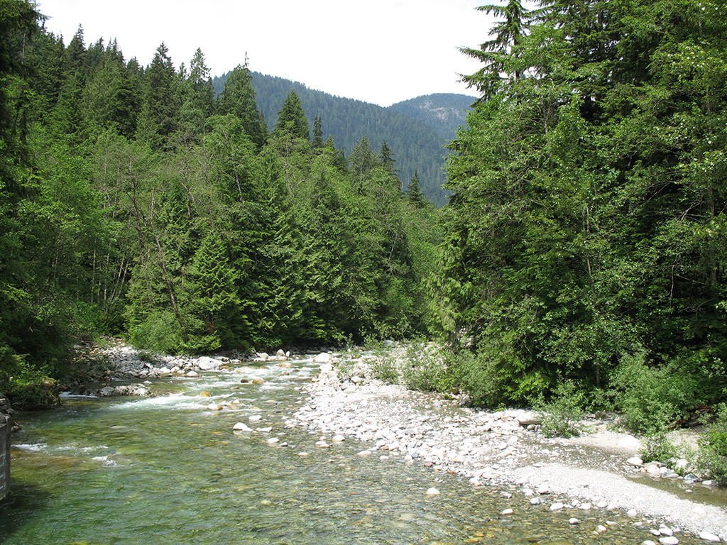 Top Hikes To Do After Work In Vancouver