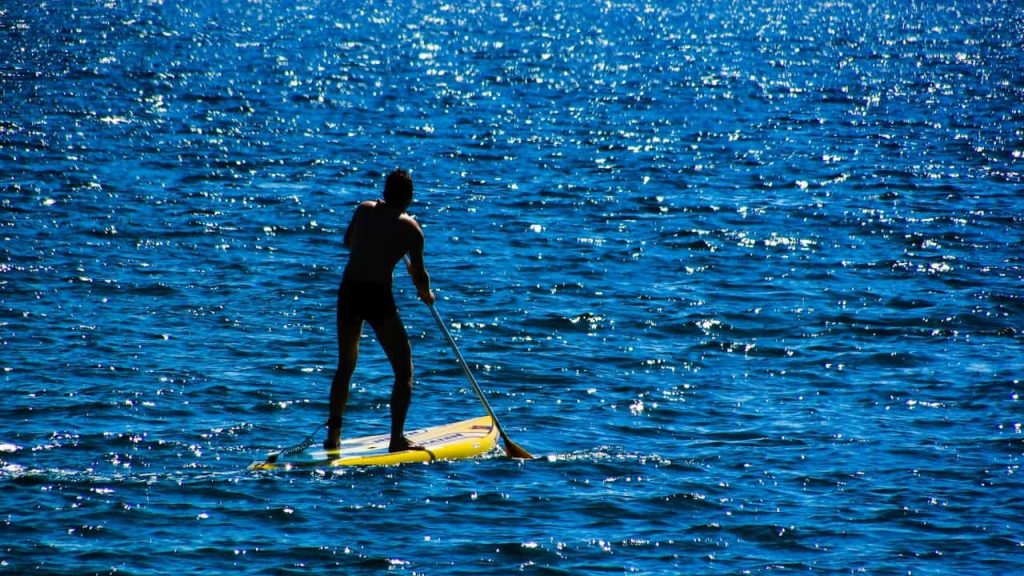 Paddle Board