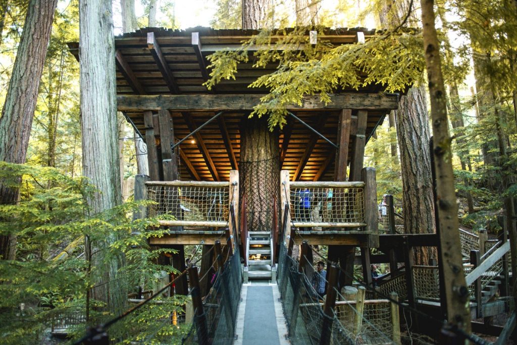 Capilano Suspension Bridge Park