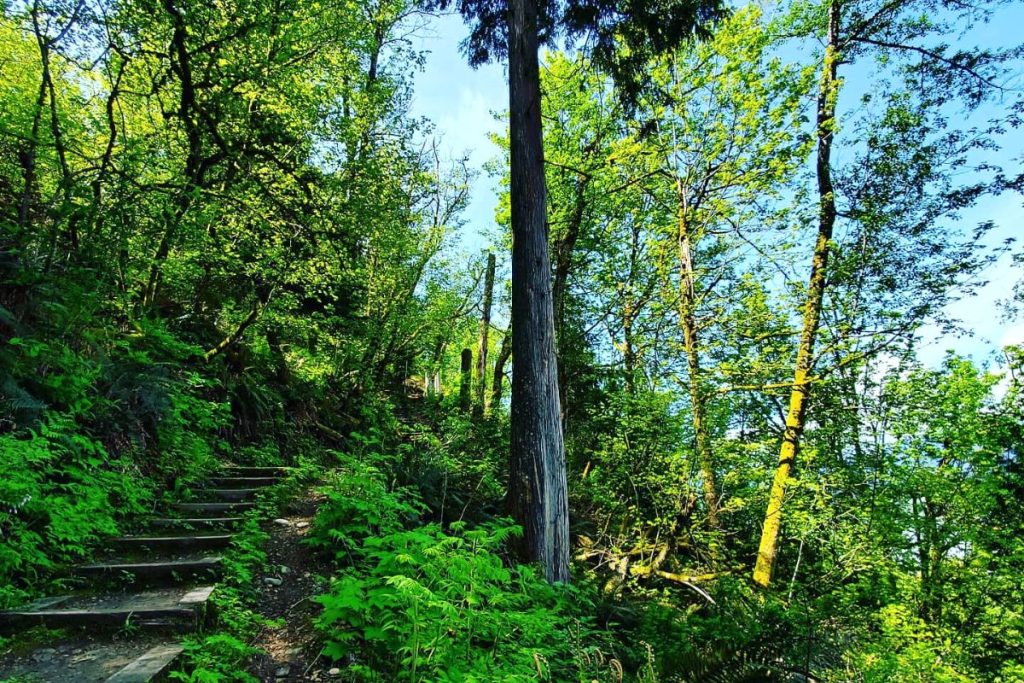 Velodrome Trail Burnaby