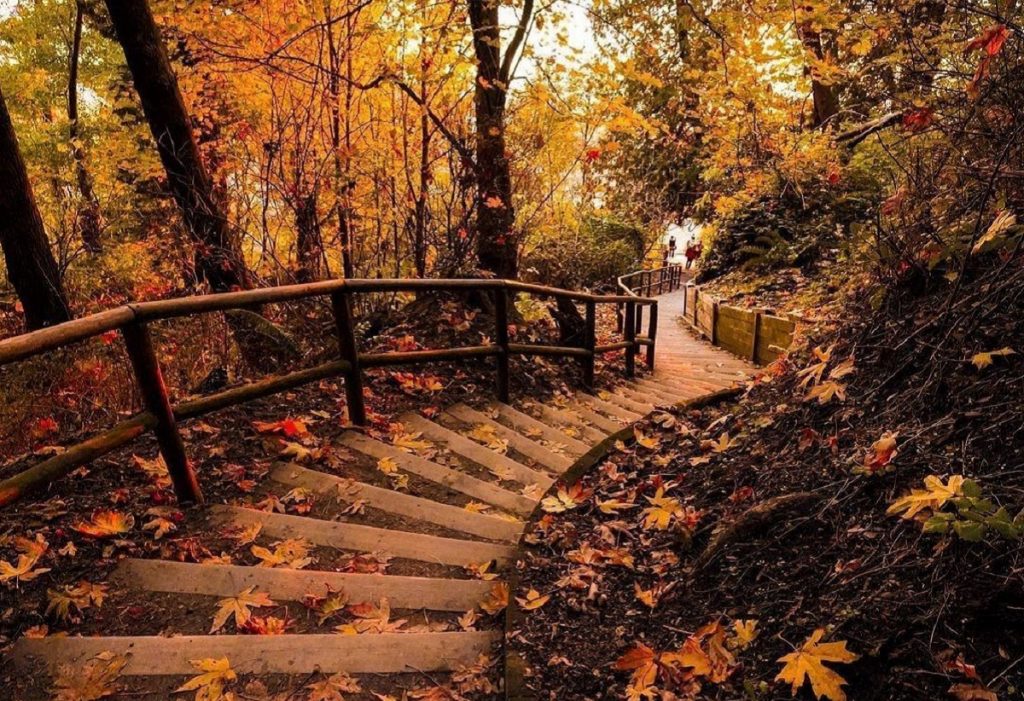 Staircase Trails In Metro Vancouver